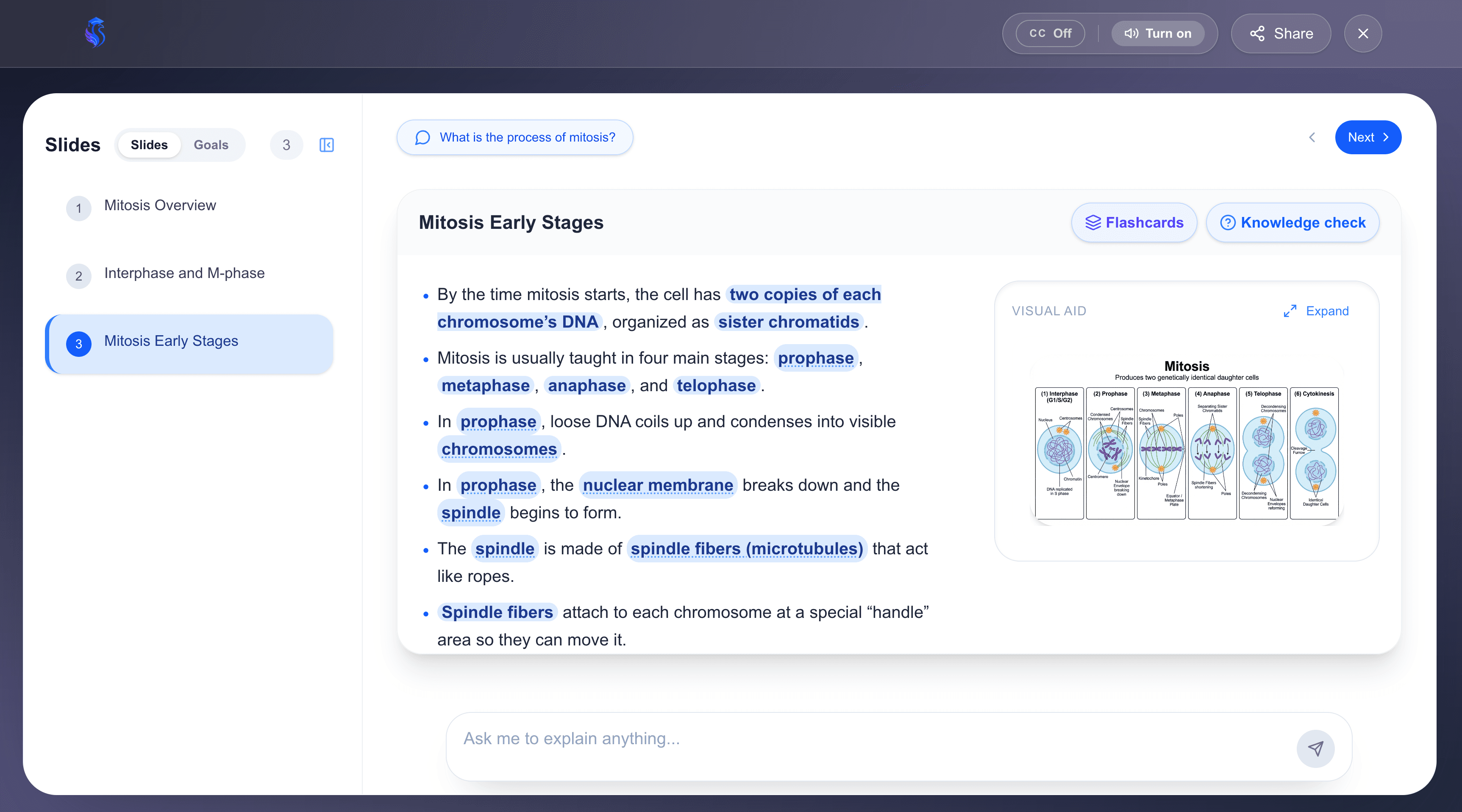 Student studying with AI tutor showing slides on mitosis